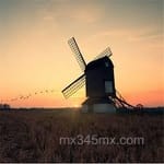 Avatar Adrián Rosas